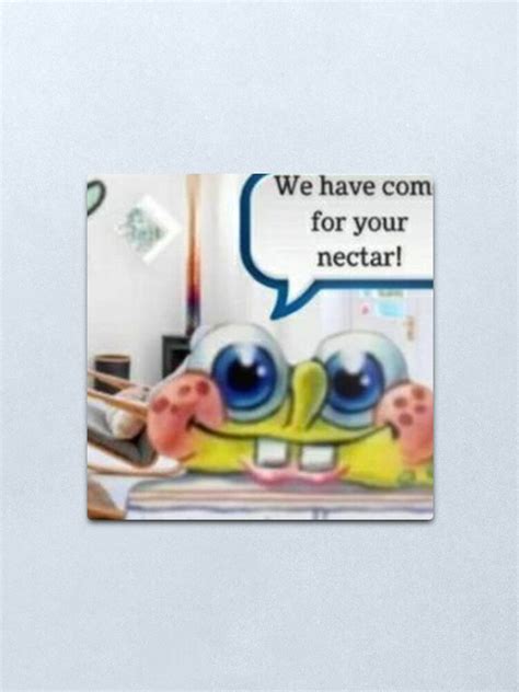 "SQUIDWARD WE HAVE COME FOR YOUR NECTAR! SPONGEBOB MEME" Metal Print ...