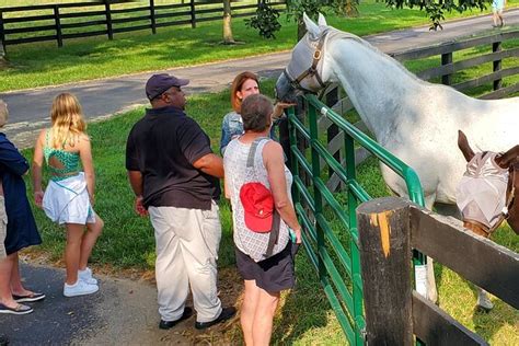 Unique Horse Farm Tours With Insider Access To Private Farms: Triphobo