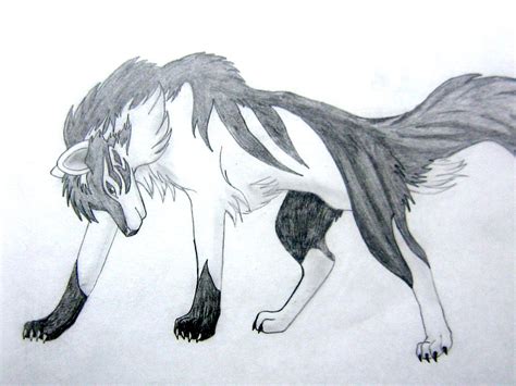 Black and White Wolf by Torikess on DeviantArt