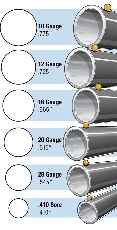 410 Bore Next To 12 Gauge