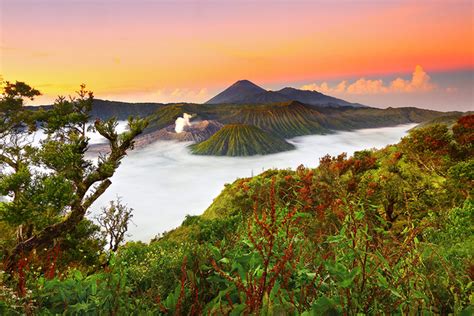 Trips to the volcanoes of Java Island: Ijen and Bromo! - Bali.live