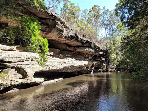 Bomaderry Creek Circuit, Bomaderry Creek Regional Park NSW - Hiking Scenery