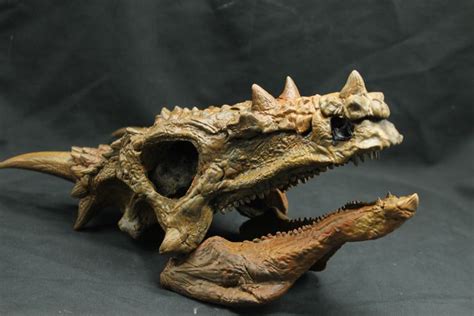 Replica Dracorex Dinosaur Skull - - - 45×19×17 cm - Catawiki