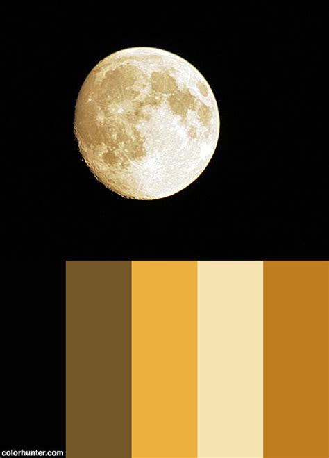 Best Moon Photo Color Palette | Color schemes colour palettes, Color ...