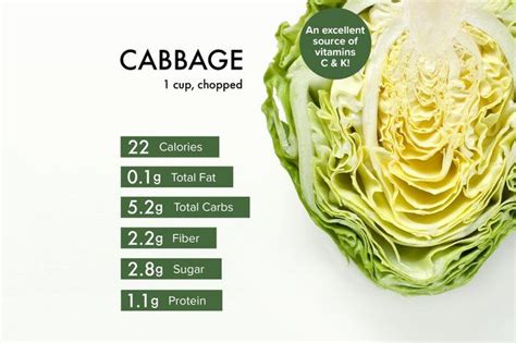 Find out all about cabbage nutrition facts and the benefits of cabbage ...