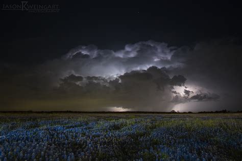 Blue Night — Jason Weingart Photography