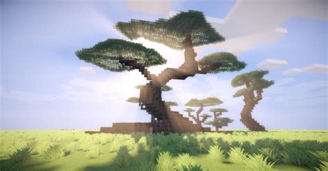 Bonsai Biome (Custom Biome Pack Minecraft Map