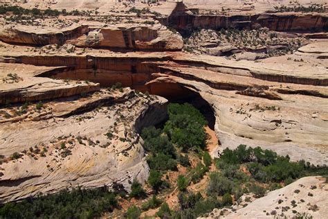 Natural Bridges National Monument | Bluff, Utah