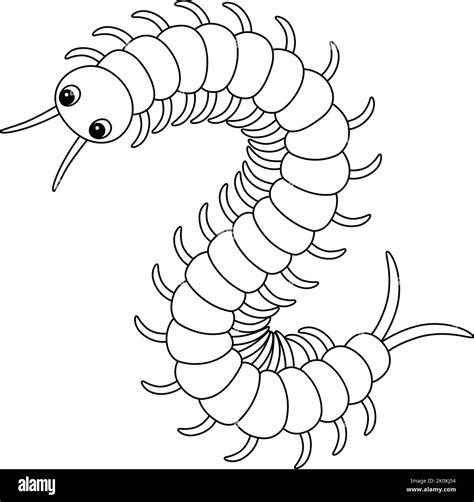 Centipede Animal Isolated Coloring Page for Kids Stock Vector Image ...