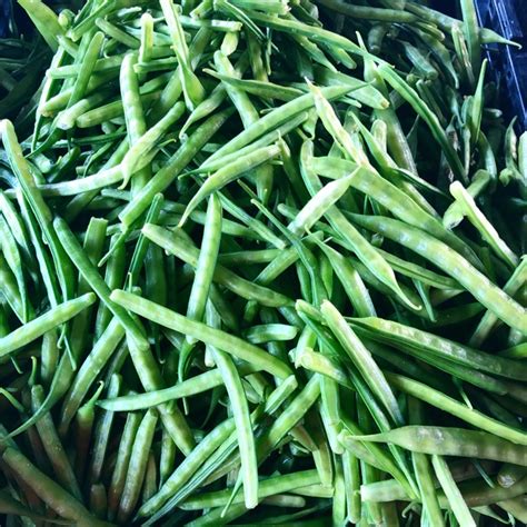 Guar (Cluster) Beans Information, Recipes and Facts