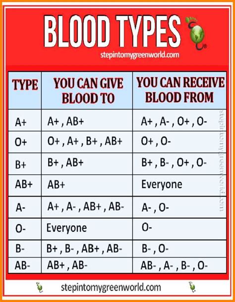 Blood Types List - Blood Type Info