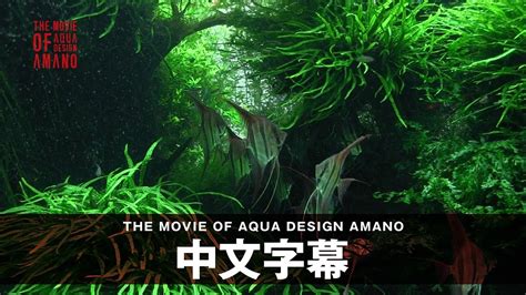 [ADAview] THE MOVIE OF AQUA DESIGN AMANO [ side:concept ] -中文字幕 - YouTube