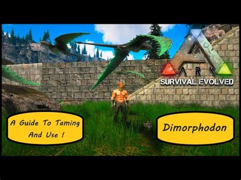 Ark - Guide To Taming And Use - Dimorphodon - YouTube