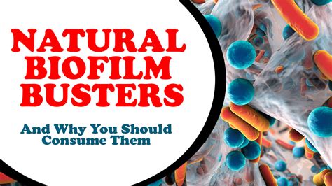 Natural Biofilm Busters... and why you should consume them - LymeKnowledge