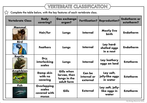 GCSE Biology: Classification Worksheet Pack | Teaching Resources