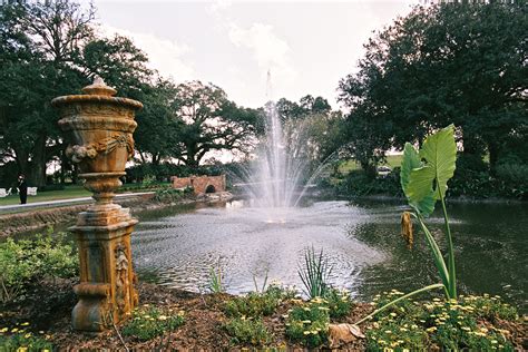 A Meandering Afternoon at Houmas House Plantation & Gardens: Darwin ...