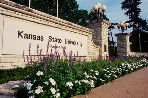 Paige Shoemaker: Some Things to Know About KSU Student "Expelled" for ...