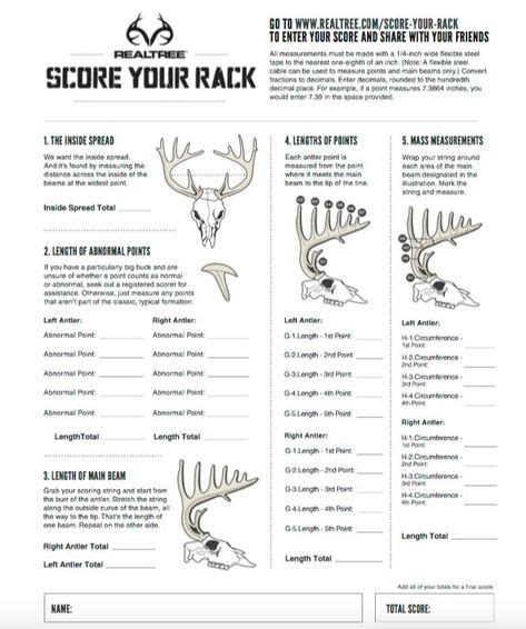 You Need Realtree's New Rack Scoring Tool for Your Weekend Hunt ...