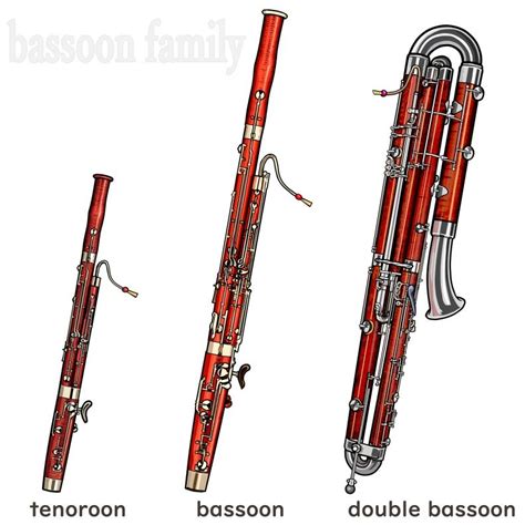 bassoon family : tenoroon / bassoon / doublebassoon. doublereed ...