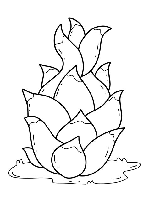 Dragon Fruit Coloring Pages Printable for Free Download