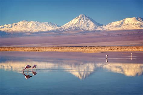 Everything You Need to Know About the Atacama Desert