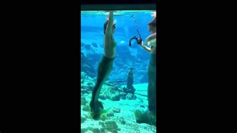 Guardian journalist Jessica Glenza joins mermaids in Weeki Wachee ...