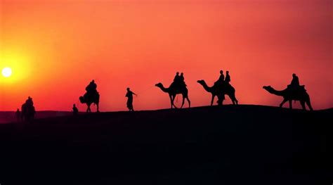 Sunset Camel Ride tour Dakhla Oasis Egypt booking