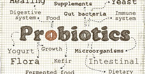 PROBIOTICS AND PREBIOTICS FOR CROHN’S DISEASE AND ULCERATIVE COLITIS ...