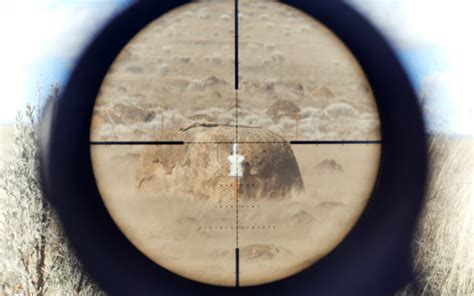 LPVO Reticle: Which To Choose? [in 2023]