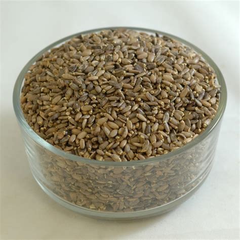 Milk Thistle Seeds Whole (1454) best quality and price just at Golden Bough