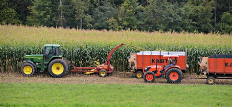 Corn Harvest on the Farm - Home in the Finger Lakes