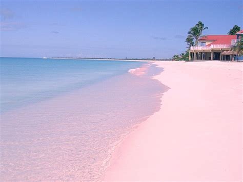 Nas Bahamas, na Harbour Island, a Pink Sand Beach ganha destaque. Como ...