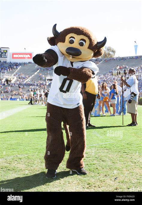 Pasadena, CA. 31st Oct, 2015. The Colorado Buffaloes mascot dances ...