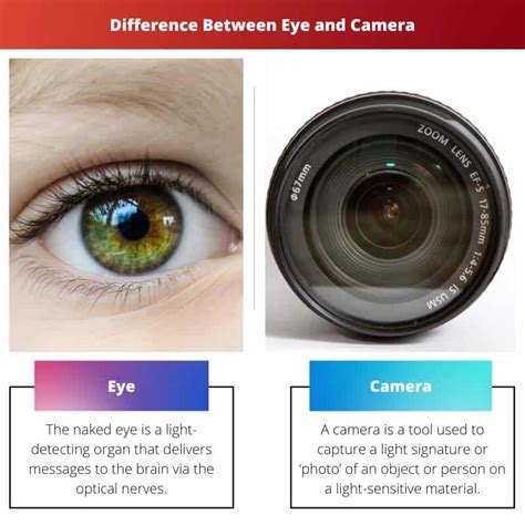 Eye vs Camera: Difference and Comparison