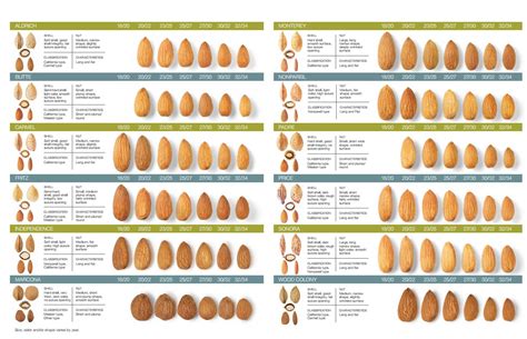 Longstanding Research Commitment to Tree Breeding Leads to Increased ...