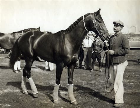 War Admiral (KY) | National Museum of Racing and Hall of Fame