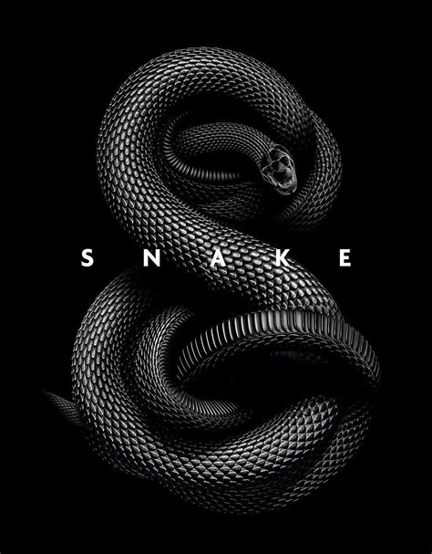 Black Snake Wallpaper Aesthetic