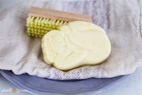 Budget-Friendly Soap Making With Lard Soap - Garden Therapy