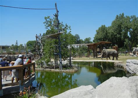 File:Denver Zoo Elephant Passage gibbon island.jpg - Wikimedia Commons