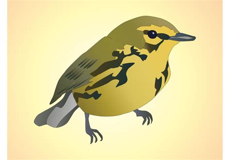 Bird Vector - Download Free Vector Art, Stock Graphics & Images