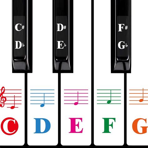 Piano Keyboard Stickers for 88 Key Nepal | Ubuy