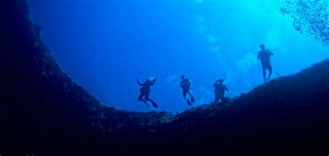 Bahama Divers Blue Hole Dive