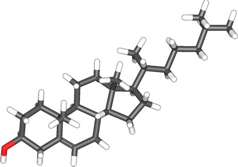 Cholesterol - wikidoc