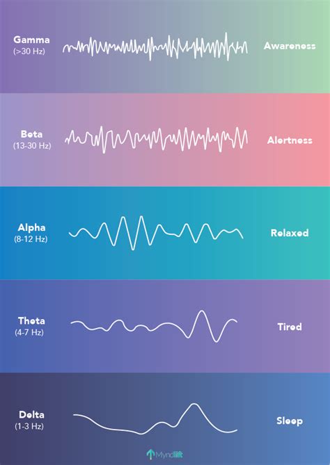 qEEG : Everything You Need to Know About Mapping Your Brain Activity