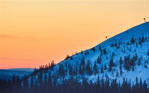 pine trees in snow covered hill slope Mac Wallpaper Download ...