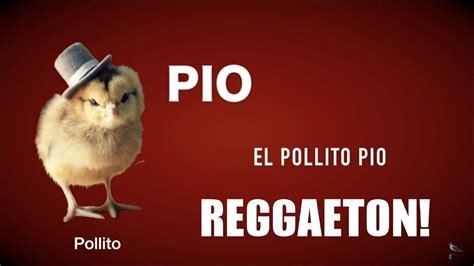 El Pollito Pio Reggaeton special Remix - canciónes Infantiles - YouTube