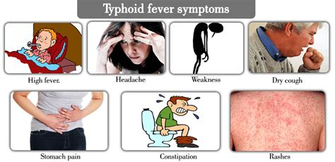 Sign And Symptoms Of Typhoid Fever Typhoid Fever Fever | SexiezPix Web Porn