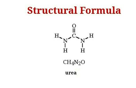 Structural Formula For Urea