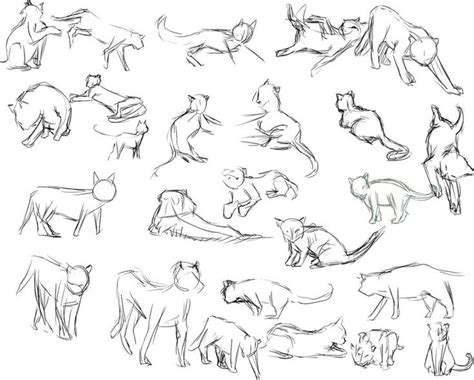 Animal drawings, Cartoon cat drawing, Cat drawing