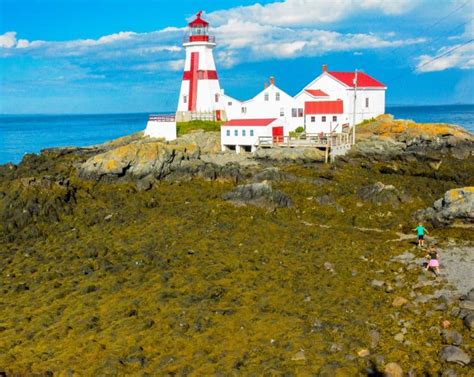 Epic Eastern Canada Road Trip with Kids: Itinerary, Tips, & Details